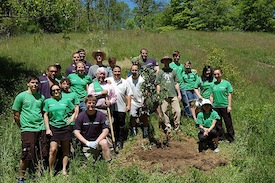 Planting Apple Trees